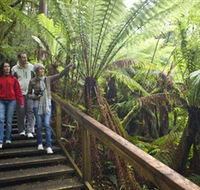 Otway Fly Treetop Adventures - Accommodation ACT