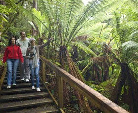 Otway Fly Treetop Adventures - Accommodation ACT 0