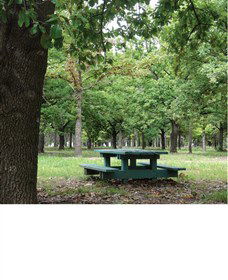 Lindsay Pryor National Arboretum - Accommodation ACT 1