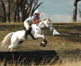 National Equestrian Centre - Kerrabee - Accommodation ACT 0