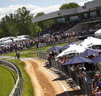 Thoroughbred Park Canberra Racing Club - Horse Racing in the Nations Capital - Accommodation ACT