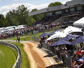 Thoroughbred Park Canberra Racing Club - Horse Racing In The Nations Capital - Accommodation ACT 1