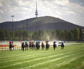 Thoroughbred Park Canberra Racing Club - Horse Racing In The Nations Capital - Accommodation ACT 3