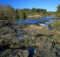 Kambah Pool to Pine Island - Accommodation ACT