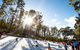 Corin Forest Mountain Resort - thumb 1