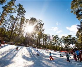 Corin Forest Mountain Resort - Accommodation ACT 1