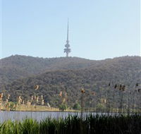 Black Mountain Peninsula - Accommodation ACT