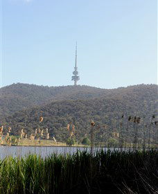 Black Mountain Peninsula - Accommodation ACT 0