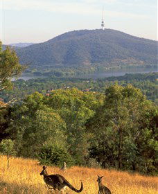 Canberra Centenary Trail - Accommodation ACT 0