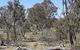 Remembrance Nature Park - thumb 0
