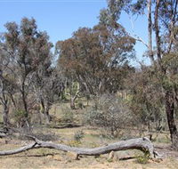 Remembrance Nature Park - Accommodation ACT