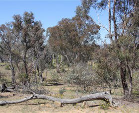 Remembrance Nature Park - Accommodation ACT 0