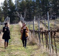 Mount Majura Vineyard - Accommodation ACT