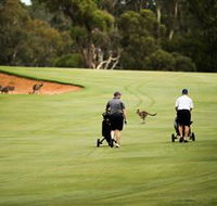 Federal Golf Club - Accommodation ACT