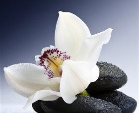 H2O Spa - Accommodation ACT 1