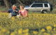 Coalseam Conservation Park - thumb 0