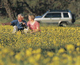Coalseam Conservation Park - Accommodation ACT 0