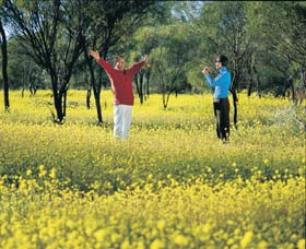 Coalseam Conservation Park - Accommodation ACT 2
