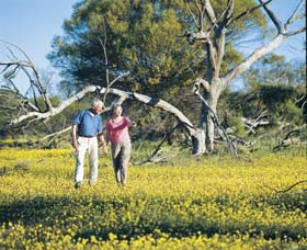 Coalseam Conservation Park - Accommodation ACT 3