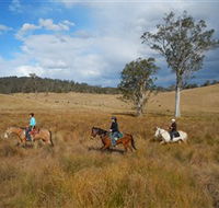 Chapman Valley Horse Riding - Accommodation ACT