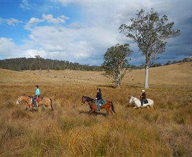 Chapman Valley Horse Riding - Accommodation ACT 0