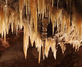 Wombeyan Caves - Accommodation ACT 1