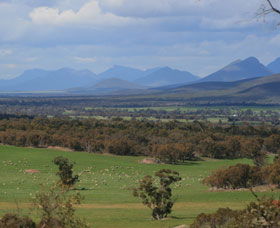 Sukey Hill Lookout - Accommodation ACT 0