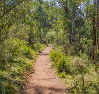 Mares Forest Creek walking track - Accommodation ACT