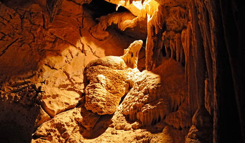 Fig Tree Cave - Accommodation ACT 0