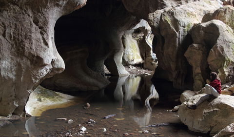 Fig Tree Cave - Accommodation ACT 2