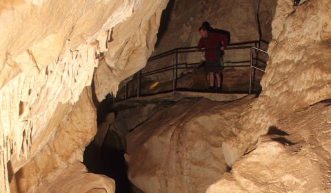 Fig Tree Cave - Accommodation ACT 3