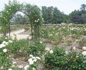 Victoria Park Rose Garden - Accommodation ACT 0