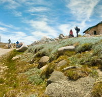 Mount Kosciuszko Summit walk - Accommodation ACT
