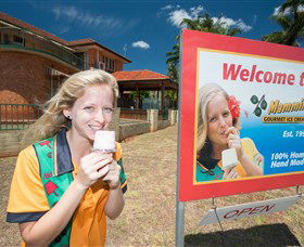 Mammino Gourmet Ice Cream - Accommodation ACT 3