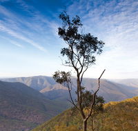 Salisbury Waters walking track - Accommodation ACT
