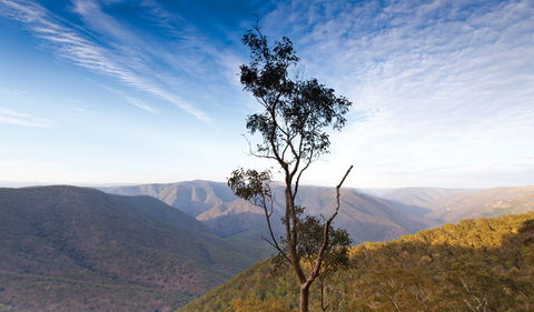 Salisbury Waters Walking Track - Accommodation ACT 0