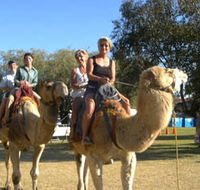 Calamunnda Camel Farm  - Accommodation ACT