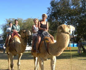Calamunnda Camel Farm  - Accommodation ACT 0