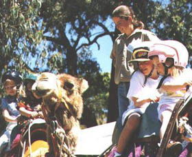Calamunnda Camel Farm  - Accommodation ACT 2