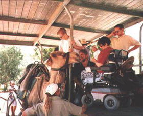 Calamunnda Camel Farm  - Accommodation ACT 3