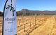 Stomp! Wines - thumb 2