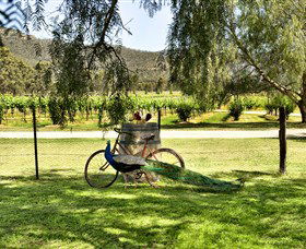 Stomp! Wines - Accommodation ACT 3
