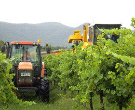 Stomp! Wines - Accommodation ACT 8