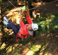 Trees Adventure Grose River Park - Accommodation ACT