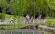 Commonwealth Park - thumb 6