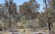 Remembrance Nature Park - thumb 2