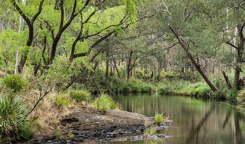 Koreelah National Park - Accommodation ACT 1