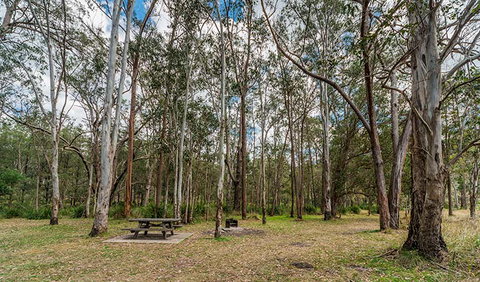 Koreelah National Park - Accommodation ACT 3