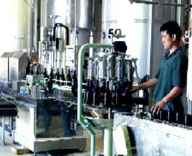 Sun Masamune Sake Brewery - Accommodation ACT 2