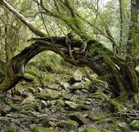 Mitchell River National Park - Accommodation ACT